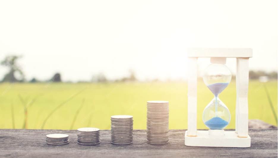 Why Timing Matters More Than Price in Land Investment